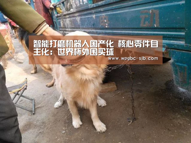 智能打磨机器人国产化 核心零件自主化:世界杯外围买球(图1) 世界杯买球网站
